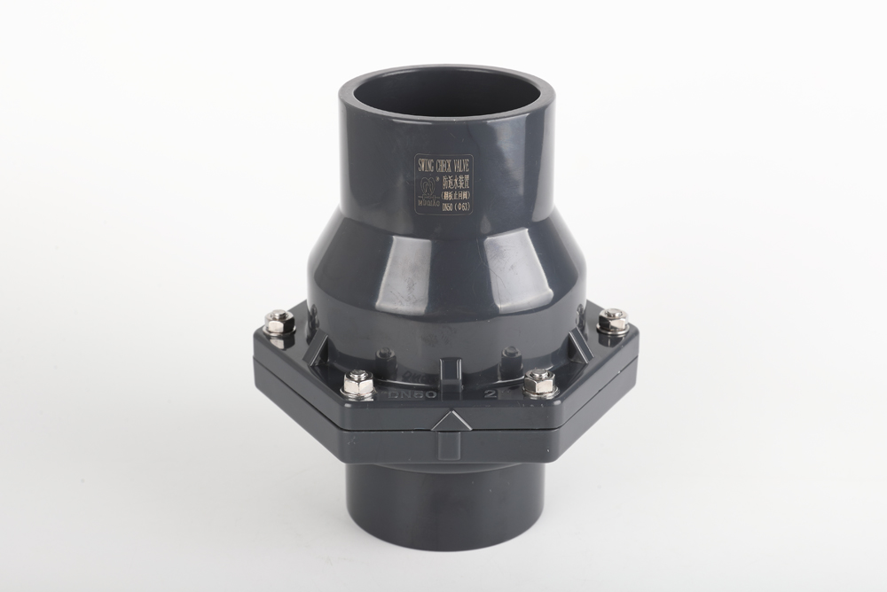 黔东南翻板式止回阀